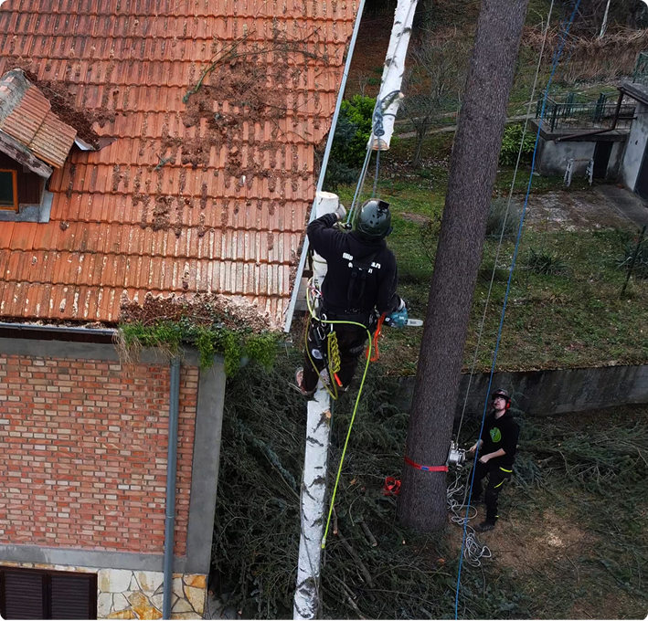 penjanje9